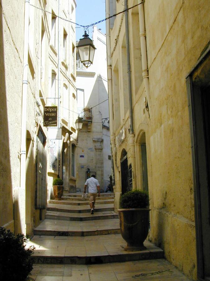 Home Chic Home - La Terrasse Bazille - Netflix Montpellier Zewnętrze zdjęcie
